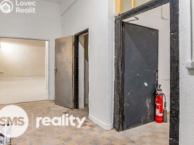 Rent commercial space Karviná, Borovského č. 16