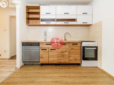 Sale apartment 2+1 Ostrava, Petra Křičky č. 1