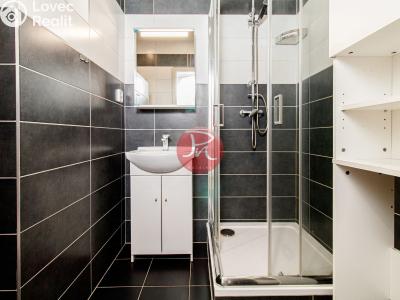 Sale apartment 2+1 Ostrava, Petra Křičky č. 6