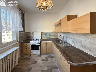 Sale apartment 3+1 Cheb, V Zahradách č. 1