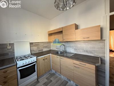 Sale apartment 3+1 Cheb, V Zahradách č. 2