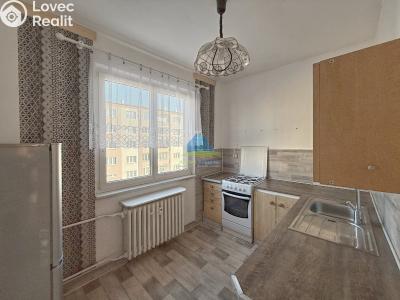 Sale apartment 3+1 Cheb, V Zahradách č. 5