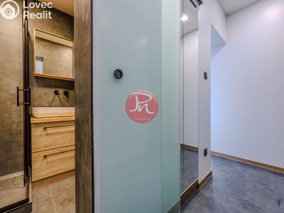 Продаж квартири 1+1 Ostrava, Zeyerova č. 8