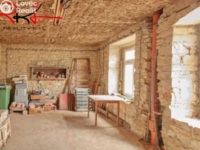 Sale multi-gen house Židovice č. 1