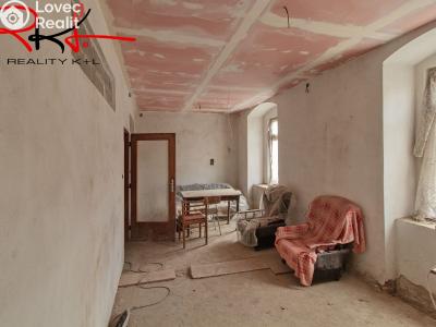 Sale multi-gen house Židovice č. 4