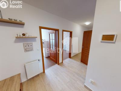 Pronájem bytu 4+KK Pelhřimov, Dolnokubínská č. 3