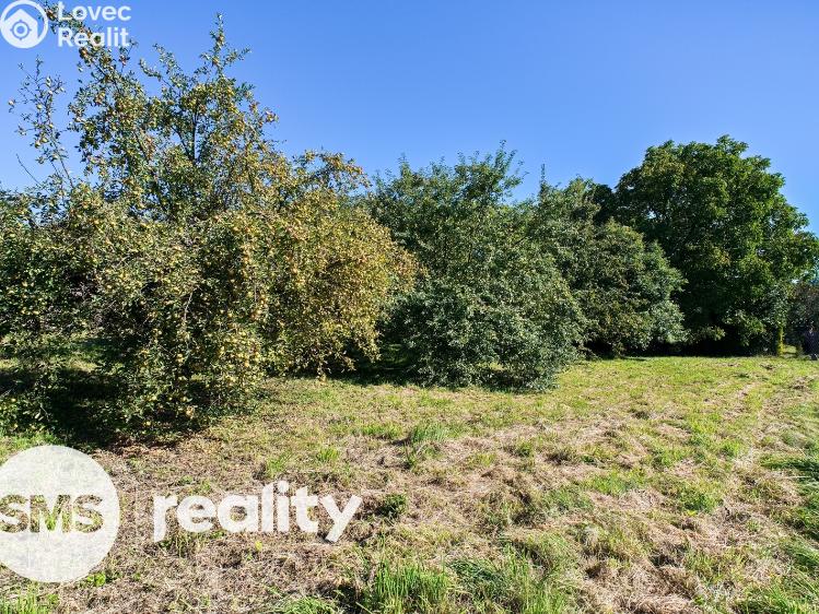 Prodej rodinného domu Starý Jičín č. 5