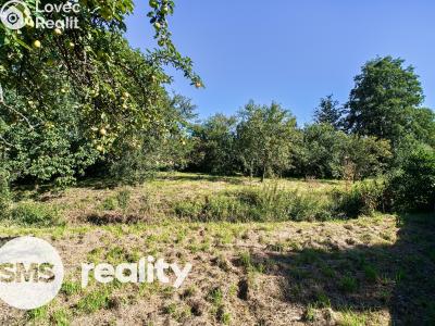 Prodej rodinného domu Starý Jičín č. 6