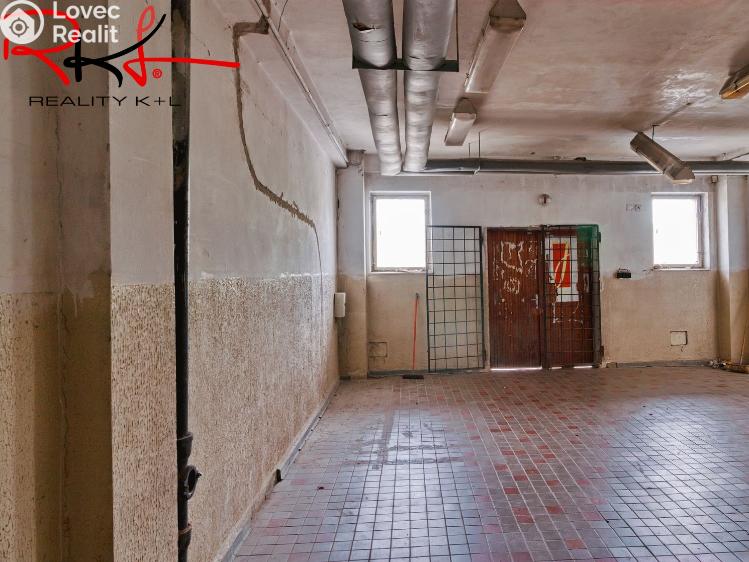Rent commercial space Lovosice, Osvoboditelů 1068/18 č. 5