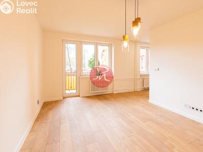 Sale apartment 3+KK Ostrava, Podroužkova č. 9