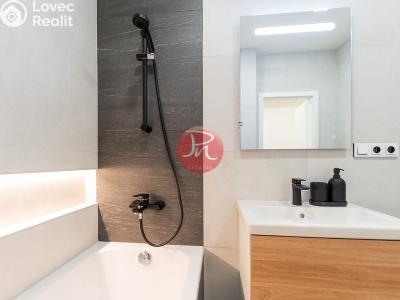 Sale apartment 3+KK Ostrava, Podroužkova č. 15