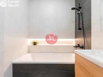 Sale apartment 3+KK Ostrava, Podroužkova č. 16