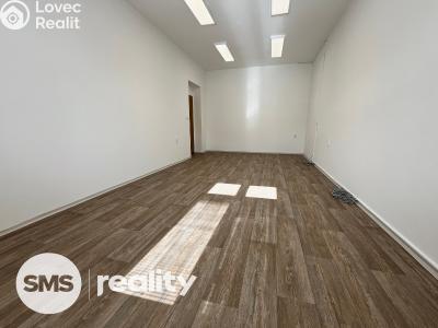 Rent office space Opava, Hradecká č. 2