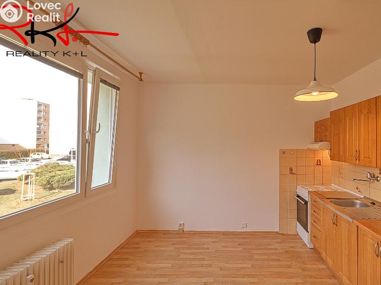 Pronájem bytu 1+1 Roudnice nad Labem, Bořivojova č. 7