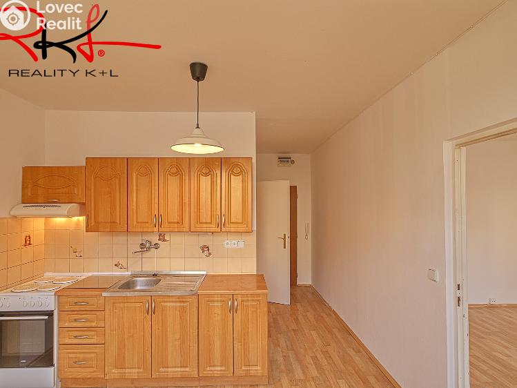 Pronájem bytu 1+1 Roudnice nad Labem, Bořivojova č. 8