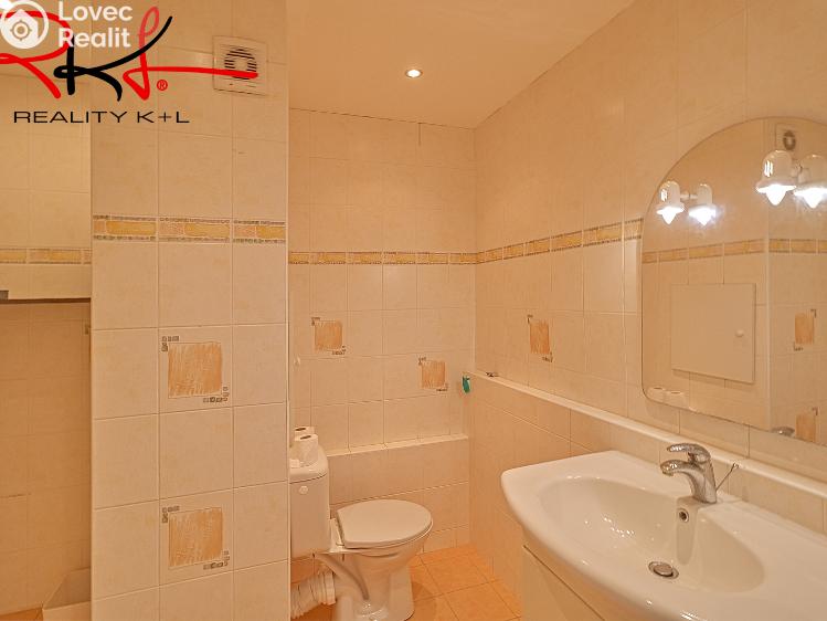 Pronájem bytu 1+1 Roudnice nad Labem, Bořivojova č. 10