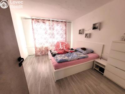 Sale apartment 3+1 České Budějovice, Lidická tř. č. 4