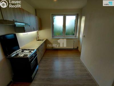 Rent apartment 2+1 Aš, Anglická č. 1