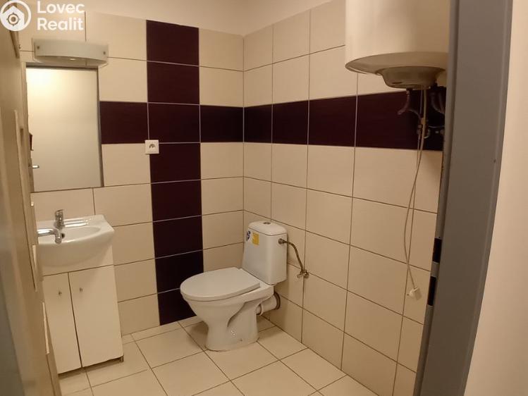 Pronájem bytu 1+KK Opava, Hany Kvapilové č. 4