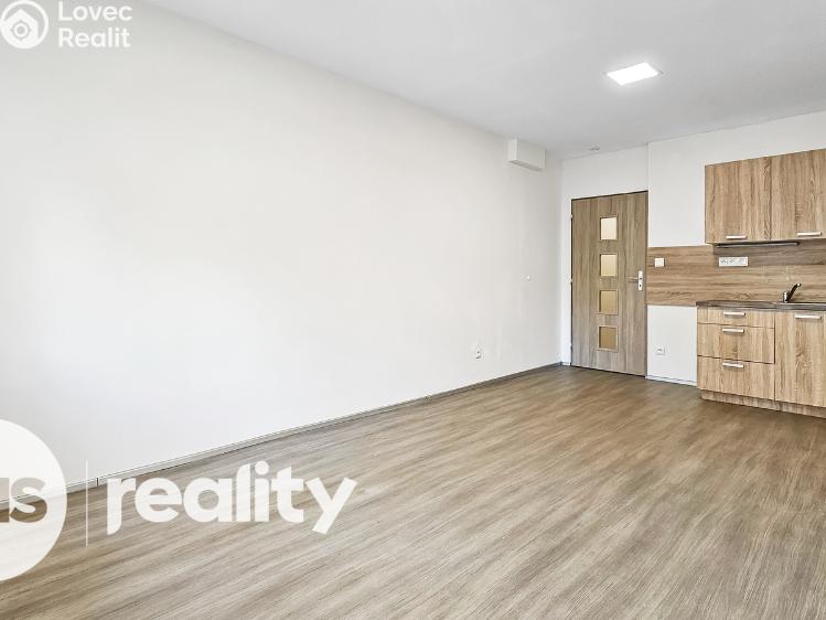 Pronájem bytu 1+KK Opava, Hany Kvapilové č. 1