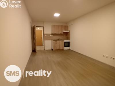 Rent apartment 1+KK Opava, Hany Kvapilové č. 1