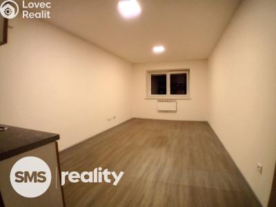 Rent apartment 1+KK Opava, Hany Kvapilové č. 2