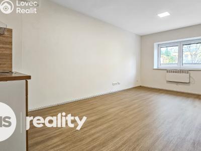Rent apartment 1+KK Opava, Hany Kvapilové č. 2
