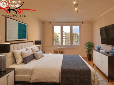 Prodej bytu 2+1 Roudnice nad Labem, Alej 17. listopadu č. 5