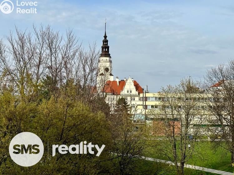 Pronájem bytu 1+KK Opava, Popská 222/11 č. 12