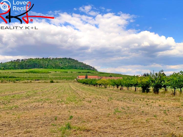 Продаж сімейного будинку Brzánky č. 23