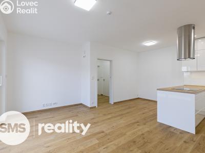 Rent apartment 3+KK Opava, Anenská č. 3