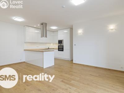 Rent apartment 3+KK Opava, Anenská č. 2