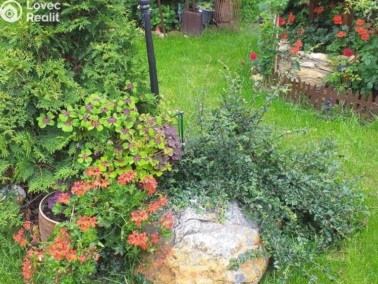 Prodej rodinného domu Račiněves č. 24