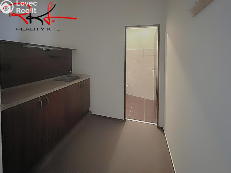 Pronájem obchodního prostoru Mladá Boleslav, Železná 45 č. 6