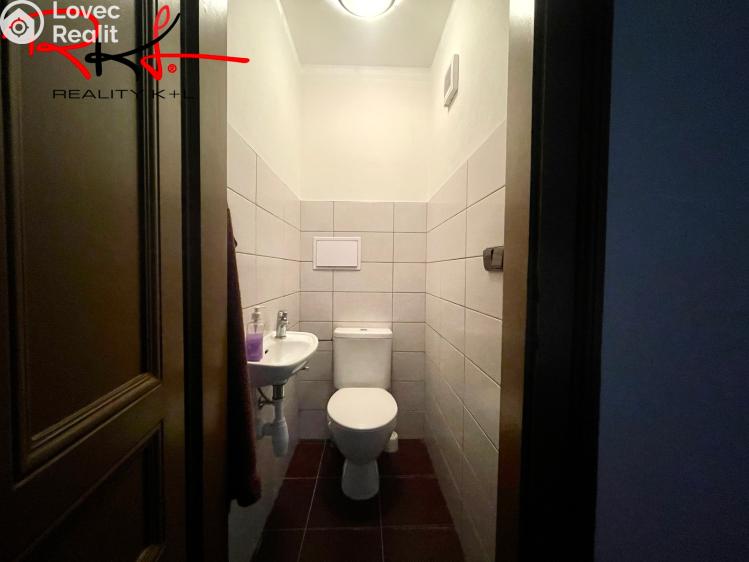 Pronájem obchodního prostoru Mladá Boleslav, Železná 45 č. 16