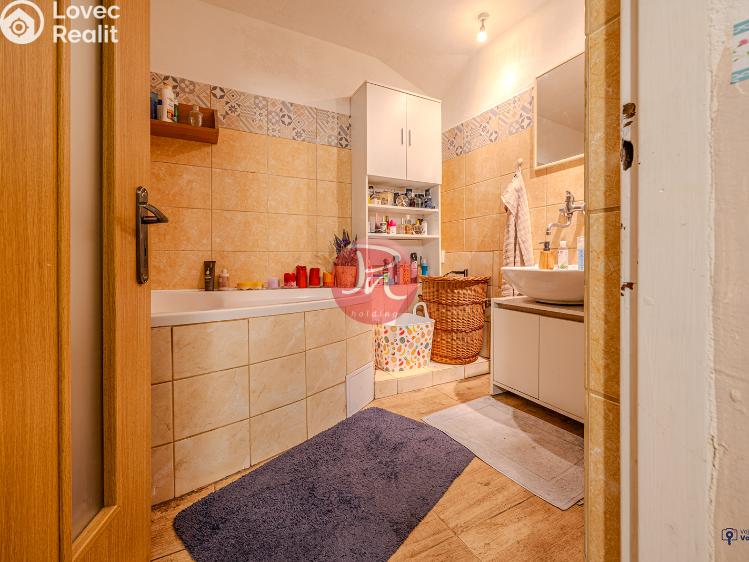 Prodej rodinného domu Budišov nad Budišovkou č. 16