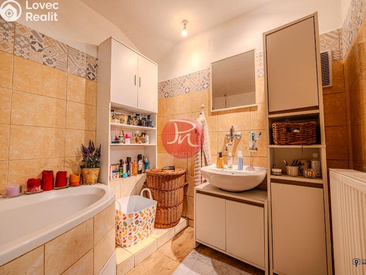 Prodej rodinného domu Budišov nad Budišovkou č. 17