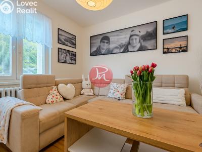 Sale apartment 3+KK Ostrava, Sokolovská č. 7