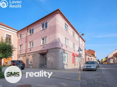 Prodej činžovního domu Židlochovice, Komenského 85 č. 3