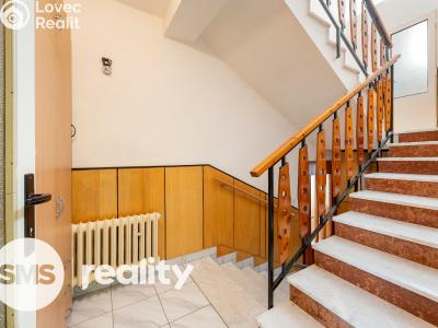 Продаж сімейного будинку Ratíškovice, Múdrá 545 č. 6