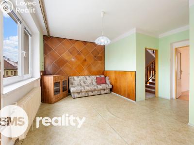 Продаж сімейного будинку Ratíškovice, Múdrá 545 č. 8