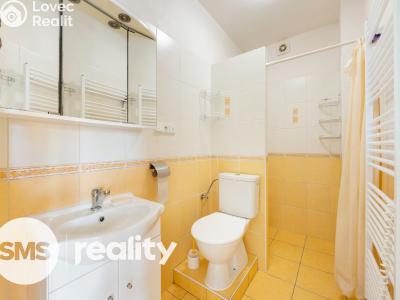 Продаж сімейного будинку Ratíškovice, Múdrá 545 č. 23