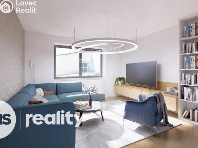 Продаж сімейного будинку Ratíškovice, Múdrá 545 č. 28