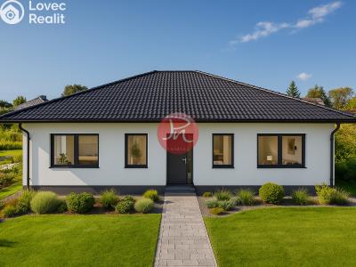 Prodej rodinného domu Petřvald, Modrá č. 5