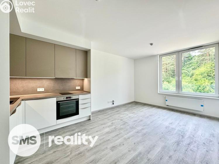 Sale apartment 1+KK Český Krumlov, Za Jitonou 257 č. 1