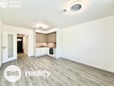 Sale apartment 1+KK Český Krumlov, Za Jitonou 257 č. 1