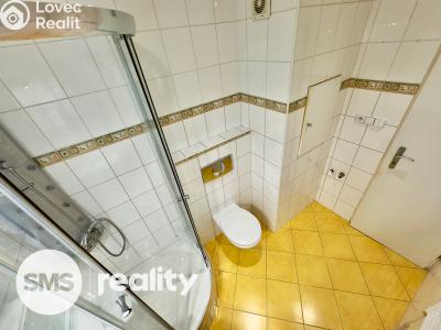 Sale apartment 2+1 Nová Bystřice, K. H. Borovského 560 č. 8