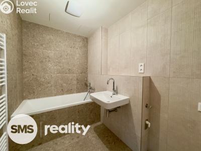 Sale apartment 2+KK Brandýs nad Labem-Stará Boleslav, Dřevčická 2200 č. 5