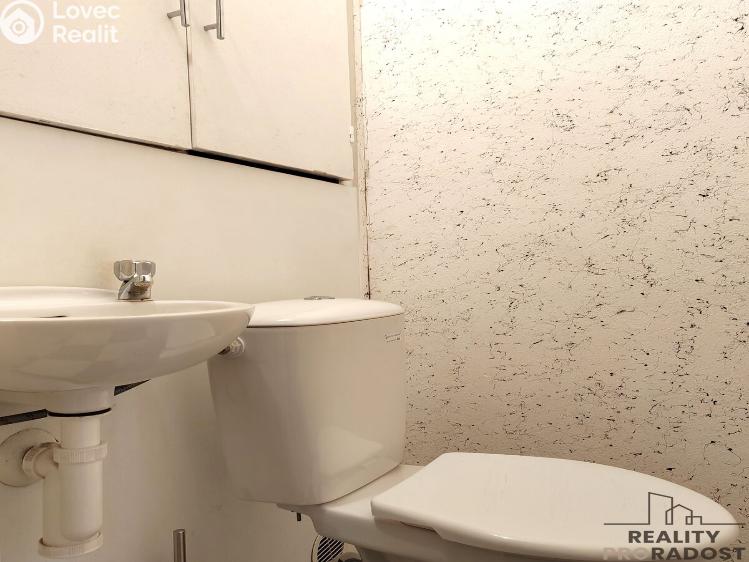 Rent apartment 3+1 Hodonín, Sadová č. 12