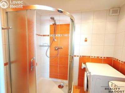 Pronájem bytu 3+1 Hodonín, Sadová č. 6